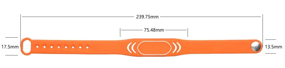 product-1197-286 product-1197-286